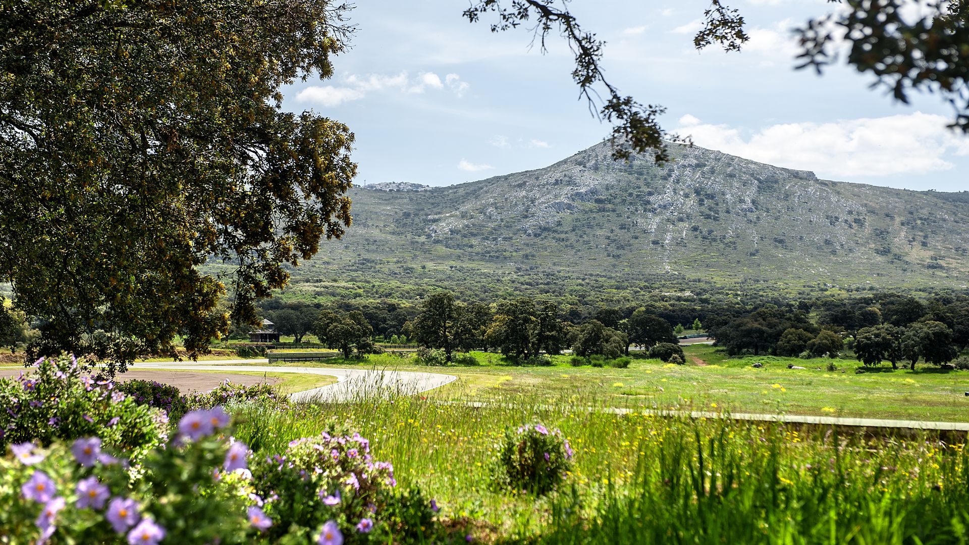 Ascari Resort