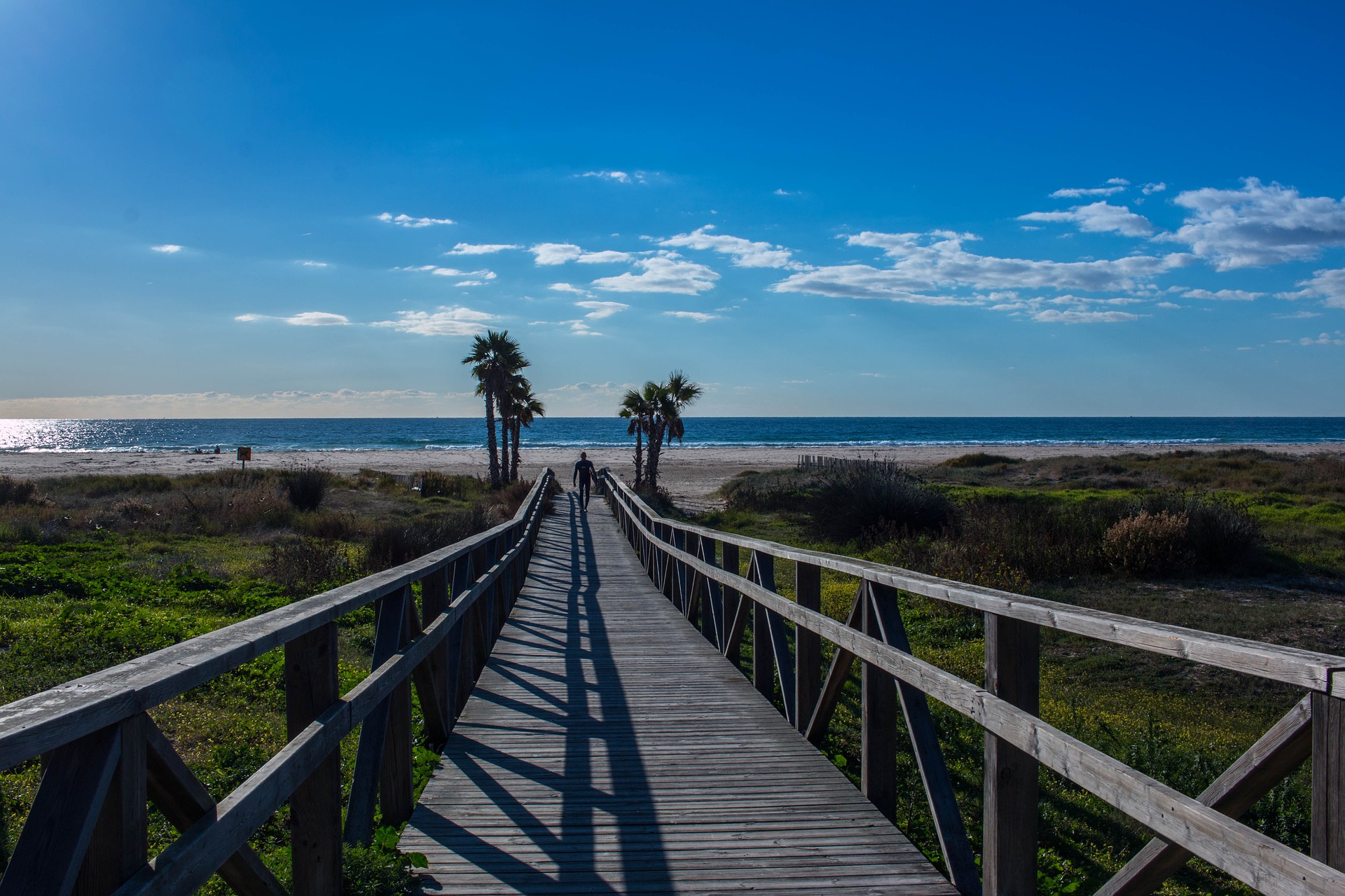 Cadizfornia; The Secret Destination of El Palmar in Cádiz