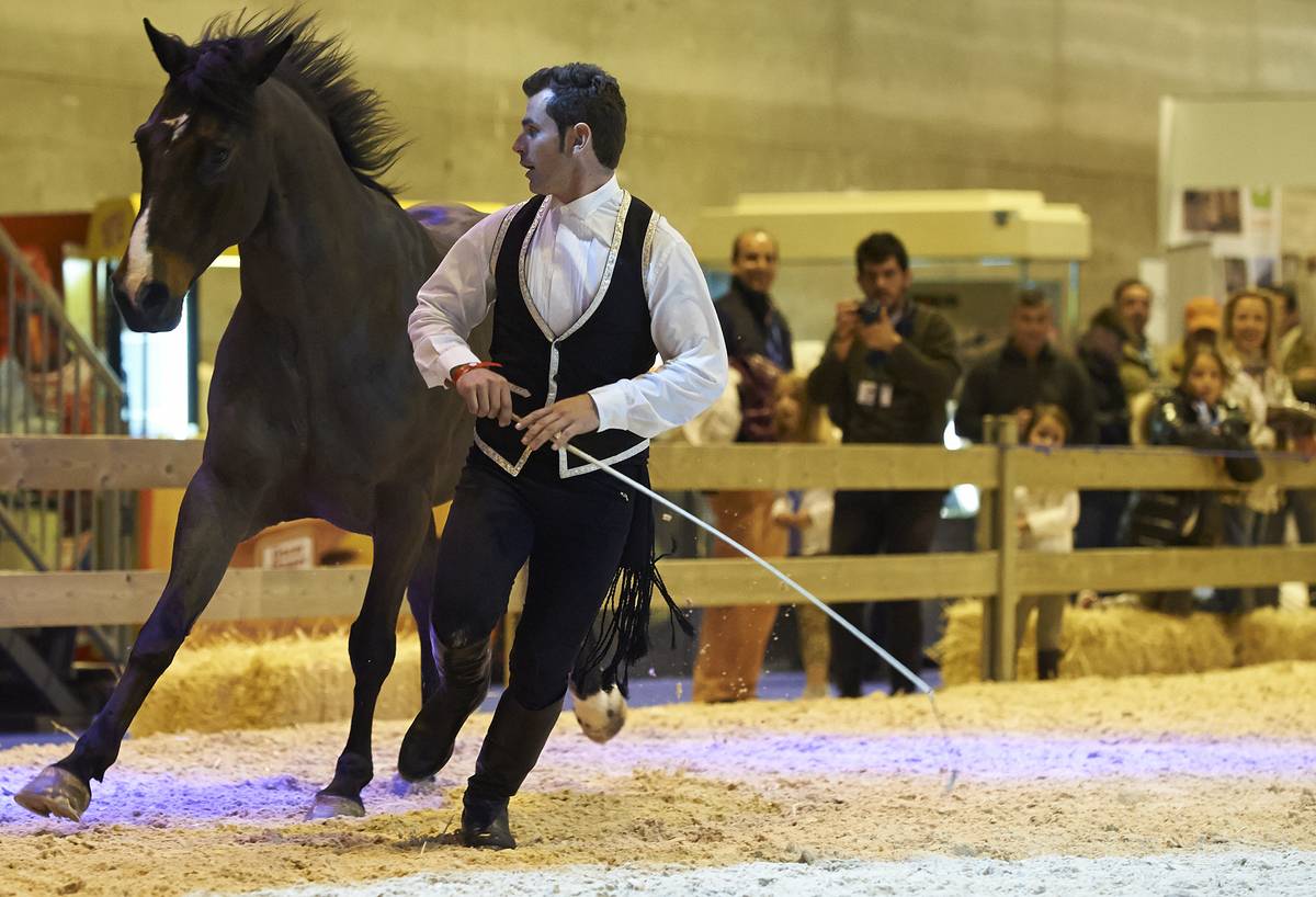 Madrid Horse Week Banco Sabadell 2012