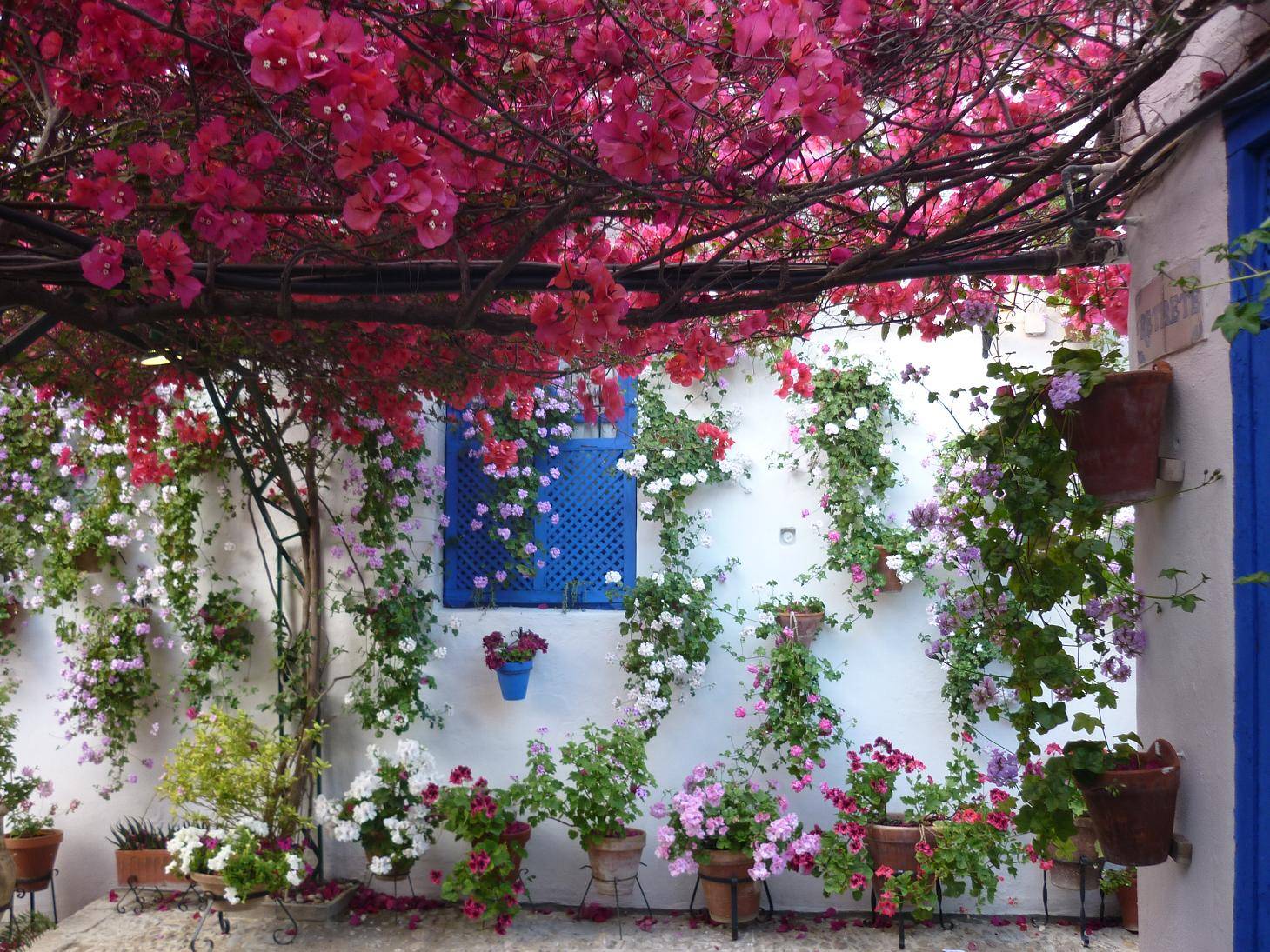 Photo courtesy of Cordoba Local Tourist Board.