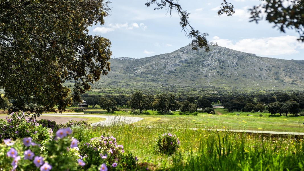 Ascari Race Track Provides The Ultimate Motorsport Lover Experience to Last a Lifetime Hashtag