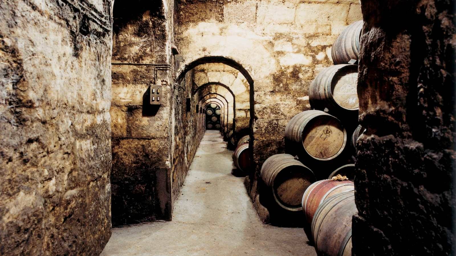 Bodega Marques de Riscal