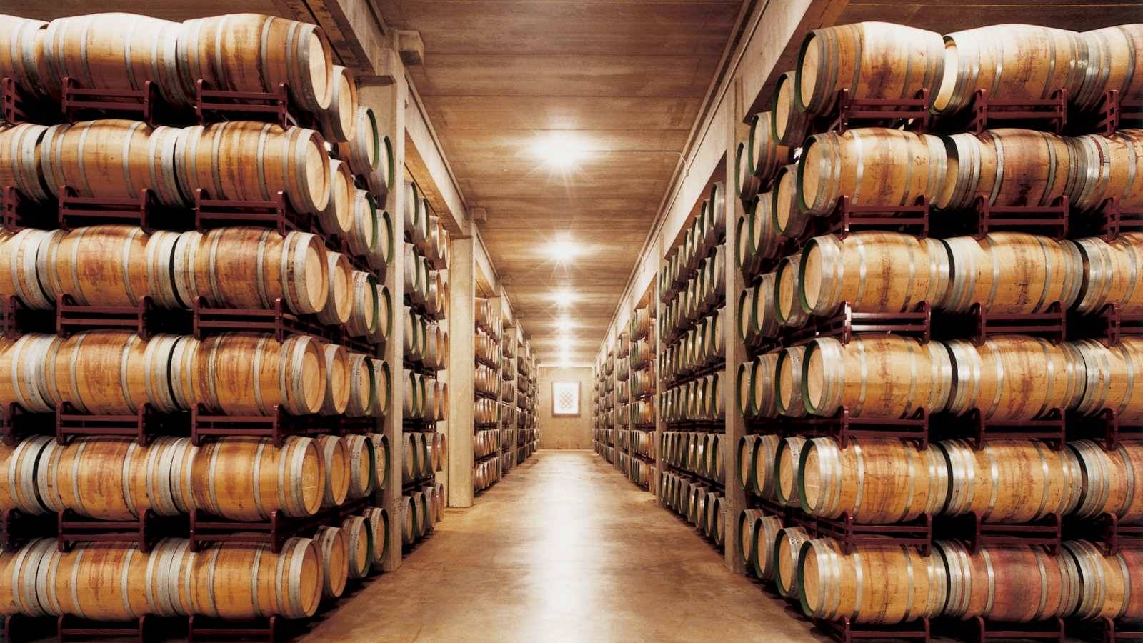 Hotel Marques de Riscal Wine Cellar