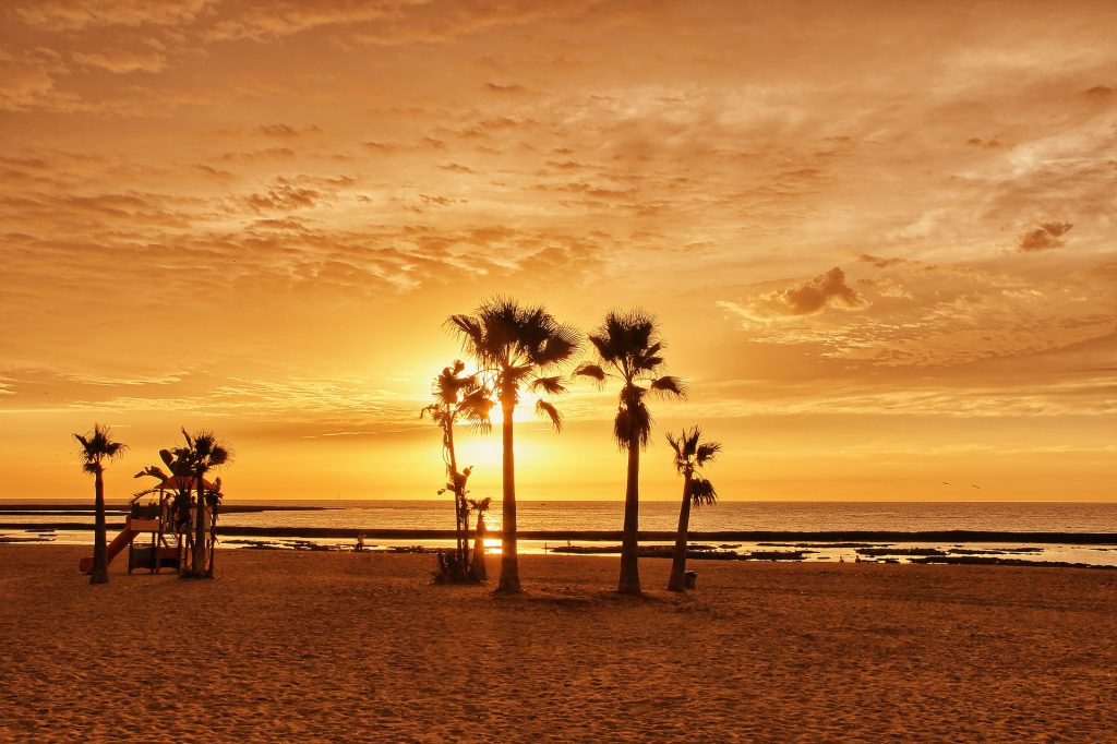 Cadizfornia; The Secret Destination of El Palmar in Cádiz