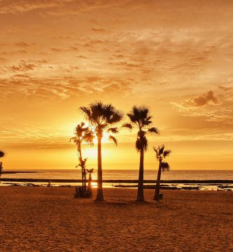 Cadizfornia; The Secret Destination of El Palmar in Cádiz