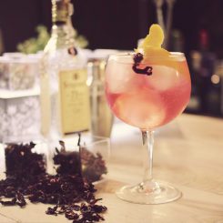 Toque Especial to Revolutionize The Gin & Tonic, The Most Popular Drink in Spain